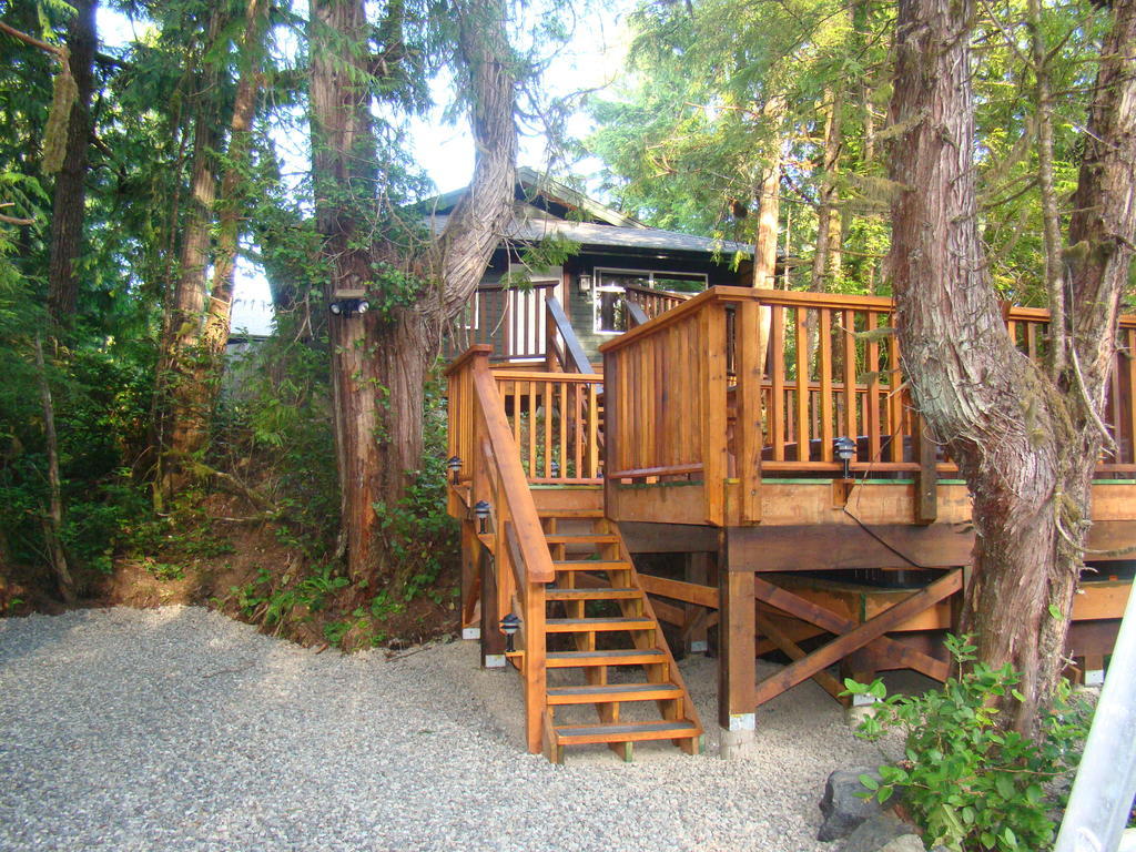 Tofino Forest View Cabin By Cox Bay Villa Cameră foto